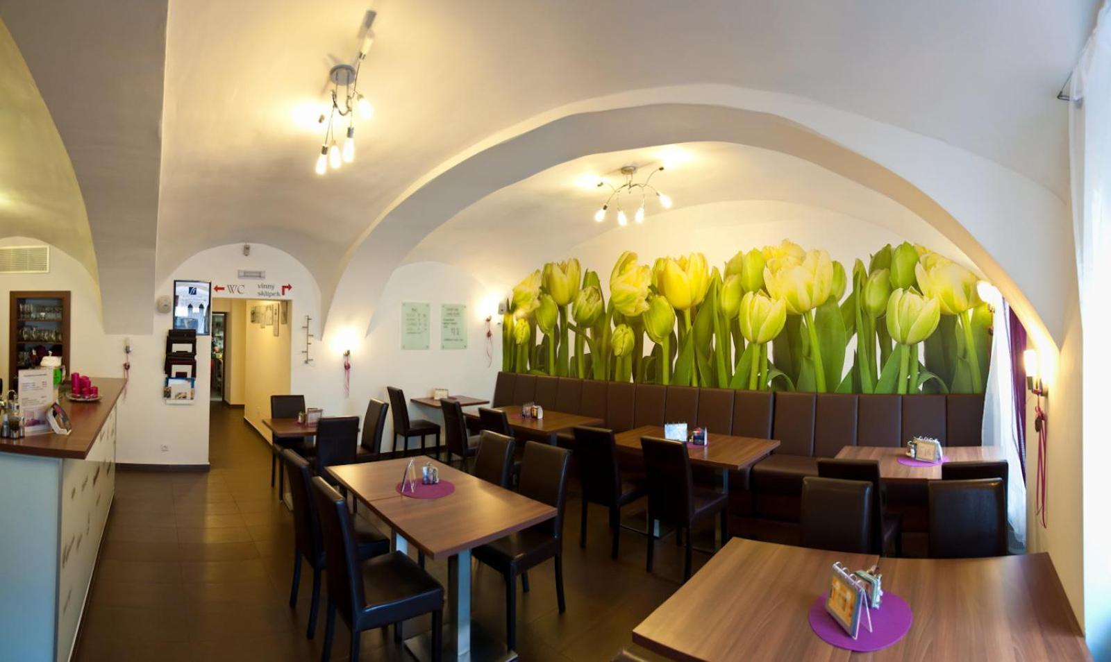 Hotel Berger Kamenice nad Lipou Buitenkant foto